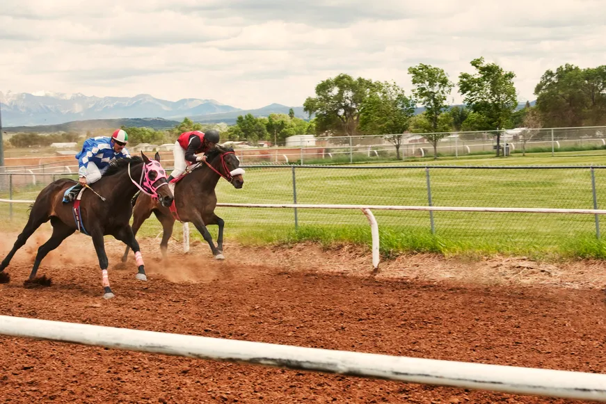 Horse Betting Tips You Should Know by Now