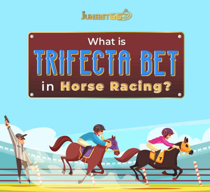 Horse-betting-racing-06