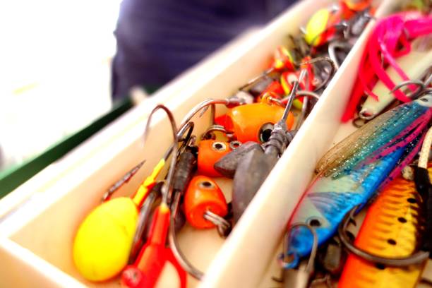 Top 5 Reasons to Visit a Local Bait Shop Near Me